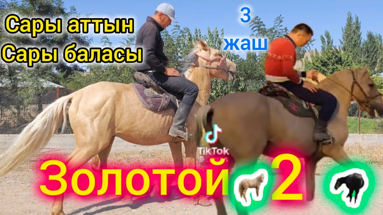 Быйты балбан Сары ат