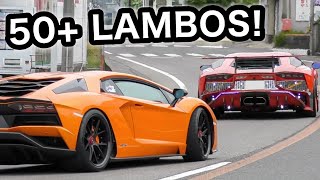 ５０台超えのランボルギーニ‼️ 加速サウンド・マフラー音が凄い‼️　[オンリーアヴェンタドールツーリング 淡路]