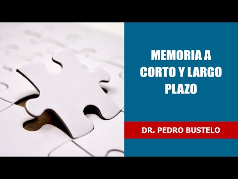 Memoria a corto y largo plazo - Dr. Pedro Bustelo