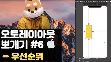 취준생을 위한 아이폰 앱개발 오토레이아웃 허깅, 컴프 레지스턴스 fundamental Tutorial (2020) - ios autolayout constraint priority
