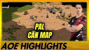 Lạc Đà Pal và Chim Sẻ Đi Nắng CHÉM QUÁ ĐIÊN! | AoE Highlights #aoe