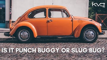 Is It Punch Buggy Or Slug Bug? 4-27-2022