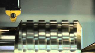 Vargus Vardex Línea Mega Para Pasos Extra Grandes