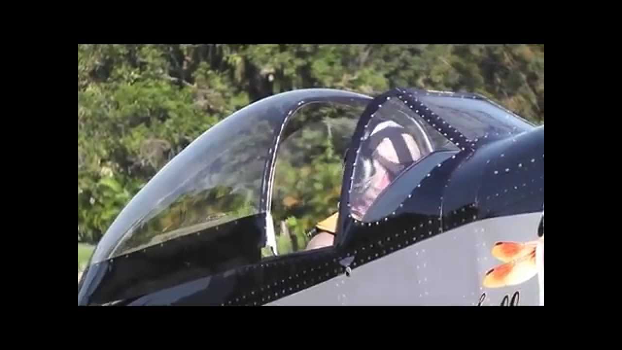 JolyJulia P-51 Mustang replica