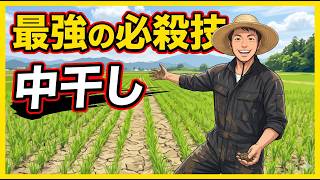 まだ「30日目」に水を抜いてるの？中干しの新常識と失敗しない判断基準