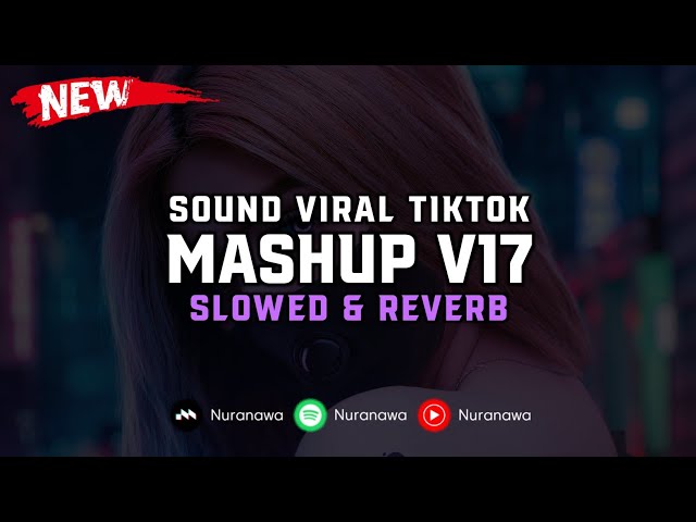 DJ Mashup V17 ( Slowed & Reverb ) 🎧 class=