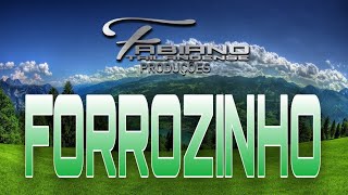 SET FORROZINHO 2024 VOL 05