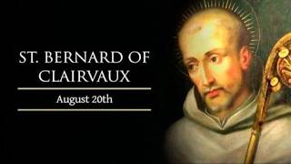 Memorial of Saint Bernard Abbot and Doctor of the Church