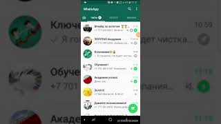 Как выставлять статусы what's app для работы screenshot 5