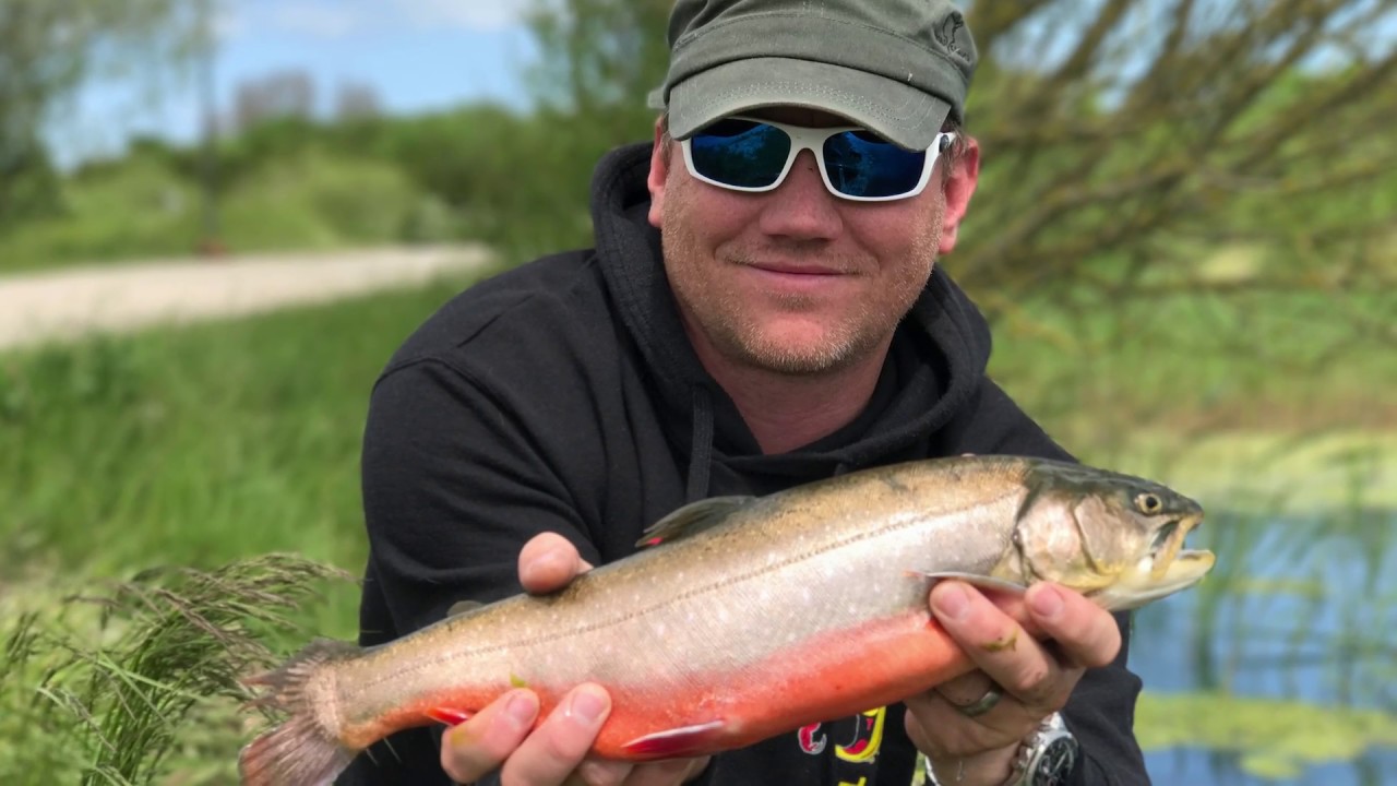 Binenmaden Sommer Aalsbogaard