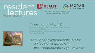 Anterior and Intermediate Uveitis: A Practical Approach for the Comprehensive Eye Providers