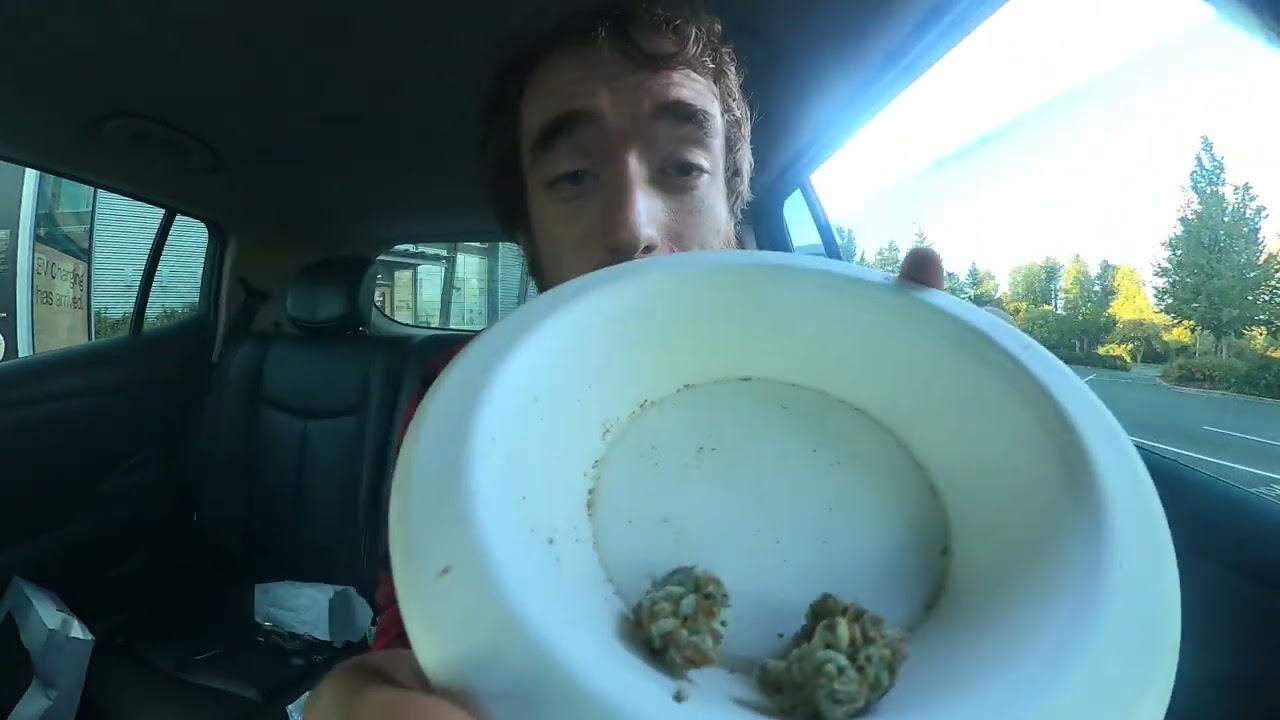 Purple Punch By Heavenly Buds Strain Review