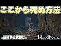 聖杯ダンジョンに存在するすべては常にプレイヤーを睨み続けている【Bloodborne実況】