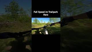 Enduro E MTB Full Speed Trailpark Harz | Raymon Trailray