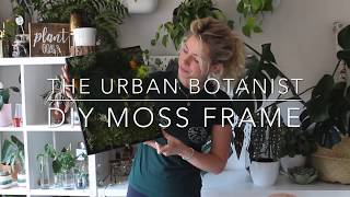 DIY MOSS FRAME - THE URBAN BOTANIST