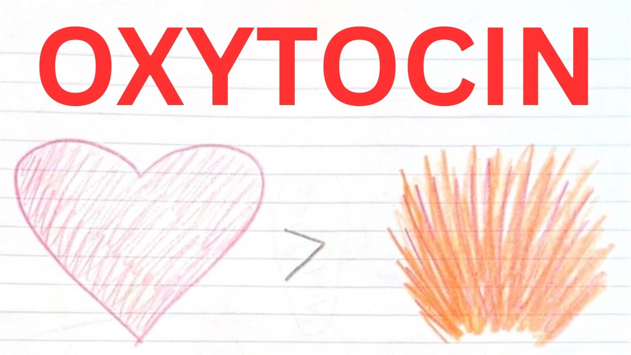 Oxytocin vs Dopamine: The Path to Genuine Happiness