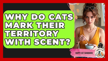 Why Do Cats Mark Their Territory With Scent? - Happy Cat Handbook