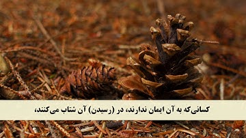 جز 25 ( سوره شوری از آیه 16 تا 22 ) با ترجمه فارسی صوتی و تصویری