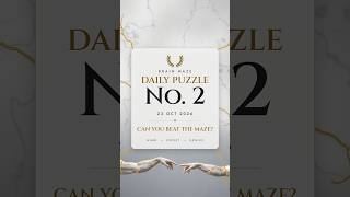 99% Fail Puzzle 3 😳 Brain Maze #2 23/10/26 #shorts Guide