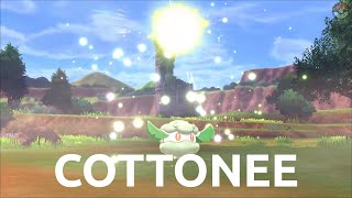 Pokemon Review #262/400 - Cottonee