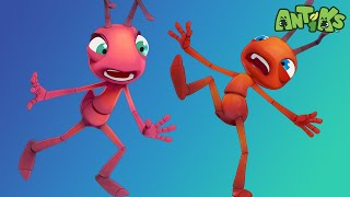 Ant Farm | 🐛 Antiks \& Insectibles 🐜 | Funny Cartoons for Kids | Moonbug