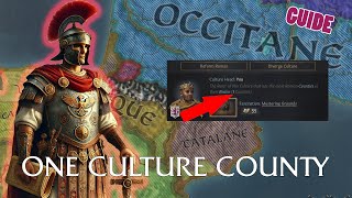 ONE COUNTY CULTURE STRATEGY : it will change your way to see CK3