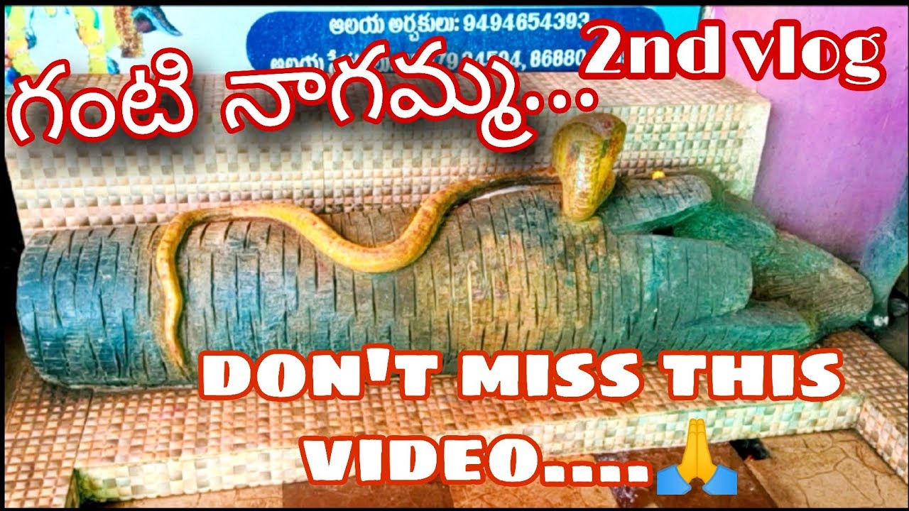 Temple vlog  ganti nagamma thalli  vaarala thalli 