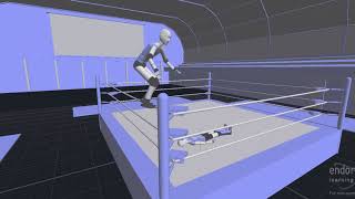 Sabu Springboard Moonsault