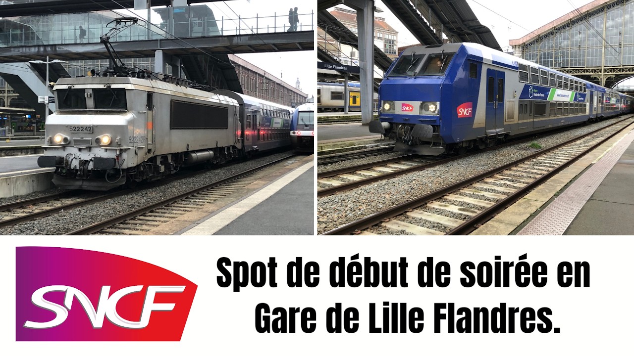 [ TRAINS SNCF TER ET TGV ]. Spot en Gare de Lille Flandres, en début de vacances de Printemps ! (9)