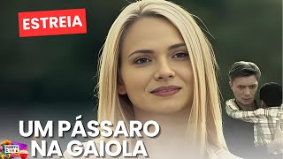 Download Lagu ELA PERDEU TUDO, MAS ENCONTROU FORÇAS PARA SE VINGAR E RETRIBUIR SEU AMOR! | UM PÁSSARO NA GAIOLA MP3