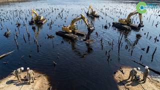 This Is How Australia Saved An 8,000-HECTARE LAKE FROM SEVERE POLLUTION