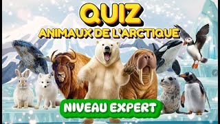 Quiz Animaux De Larctique Niveau Expert Ludokids