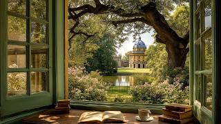 a morning playlist for soft and quiet moments 🌿 soft piano for reading, studying & work screenshot 3