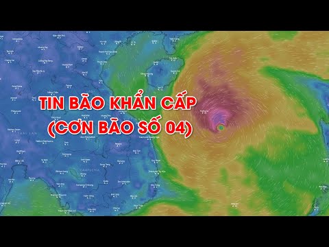Video Tin bão khẩn cấp (cơn bão số 04) | PTQ - youtube