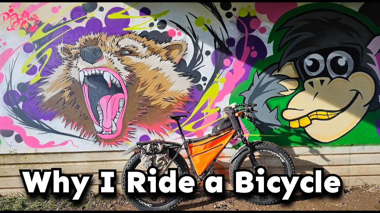 Why I Ride A Bicycle
