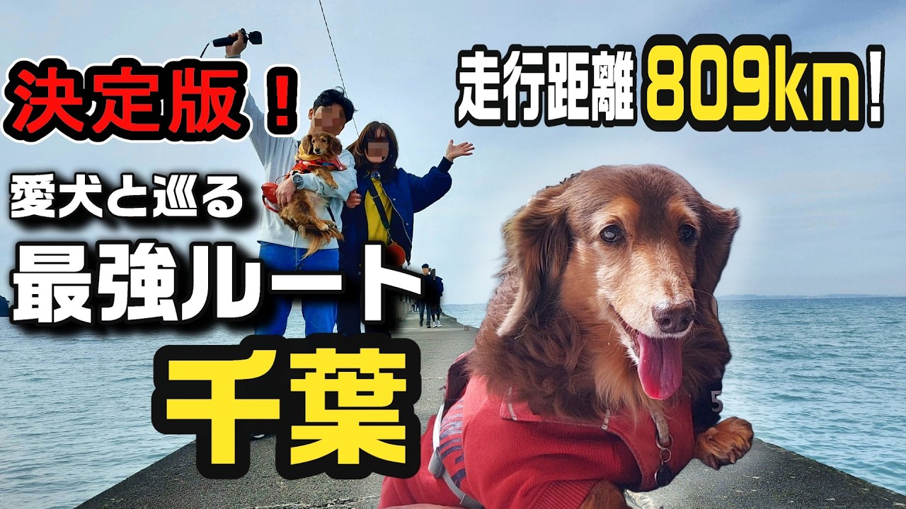 【総集編】ただの千葉観光じゃない。愛犬と一緒に809km走り抜いたから出会えた、一生モノの景色と最強ルート