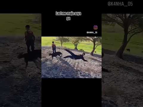 😂😂😂 funny video #funny #trending #youtubeshorts #comedy #ytshorts #
