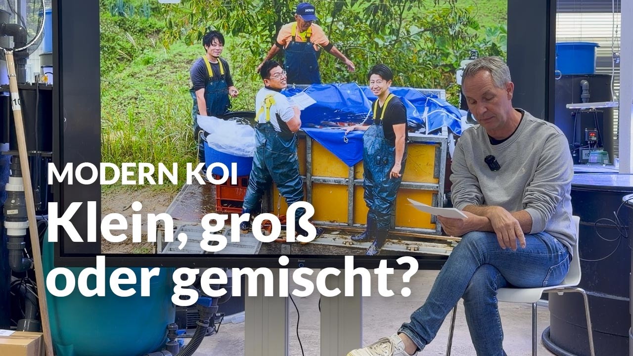 Welche Hel-X Größe eignet sich am besten ? | Modern Koi Blog #8118