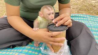 Baby Dam Smart Boy Join Drinking With Mom As Lil Kid