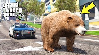 ГОЛОДНЫЙ МЕДВЕДЬ СБЕЖАЛ ИЗ ЗООПАРКА!! ЛЮДИ В ПАНИКЕ! - GTA 5 ЖИЗНЬ ЖИВОТНЫХ (ГТА 5 МОДЫ)