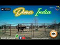 134 Doma India (Bloque 03) Estancias y Tradiciones