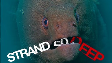 The Great Abaia | Stranded Deep part 20