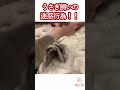 うさぎ飼いによる迷惑行為!!!