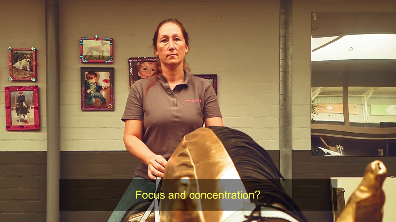 JOKER the horse simulator.