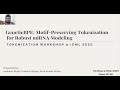 GeneticBPE: Motif-Preserving Tokenization for Robust miRNA Modeling