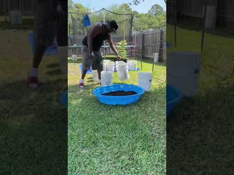 Kiddie Pool Raise Garden containergardening diygardening by Divine Alliance Media