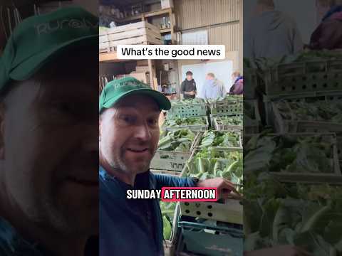 ما هو الخبر السار