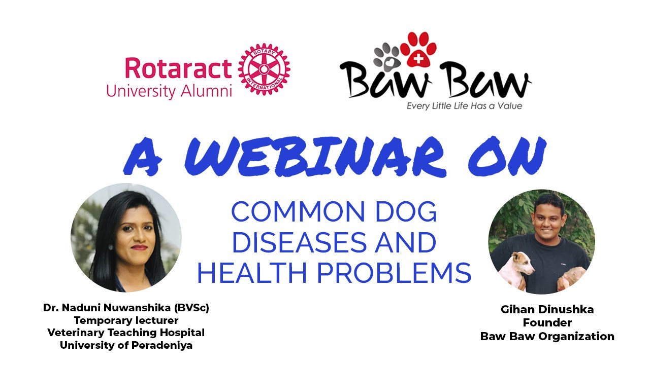 PAWPEDIA - A Webinar on Common Dog Diseases and Health Problems