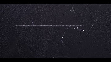 Collision of atomic electrons (delta rays)