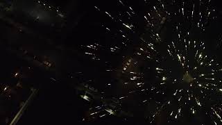 Rare Bioluminescent June Bugs near Bellflower, CA